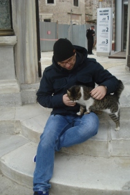 Mačke Istanbula